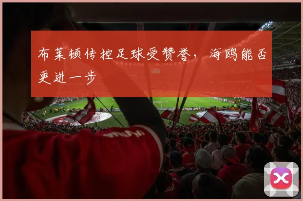 布莱顿传控足球受赞誉，海鸥能否更进一步