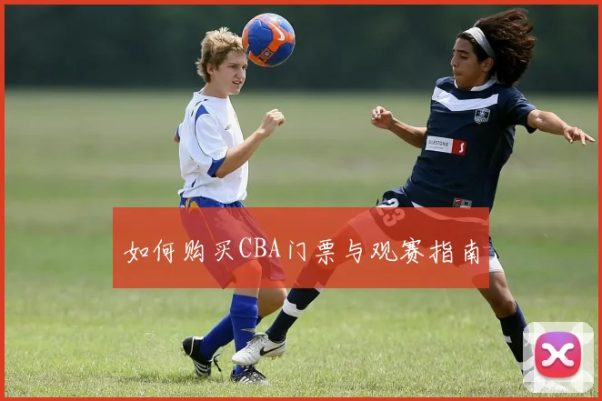 如何购买CBA门票与观赛指南