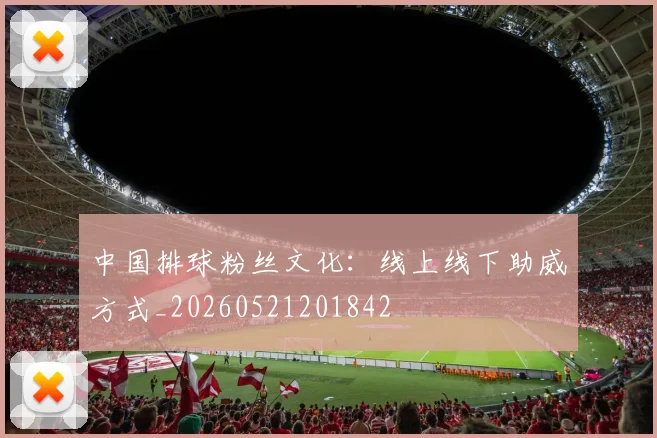 中国排球粉丝文化：线上线下助威方式_20260521201842