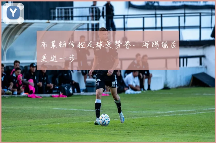 布莱顿传控足球受赞誉，海鸥能否更进一步