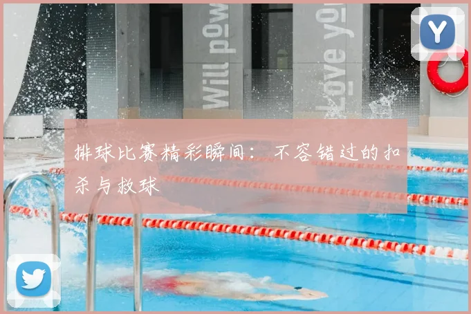 排球比赛精彩瞬间：不容错过的扣杀与救球