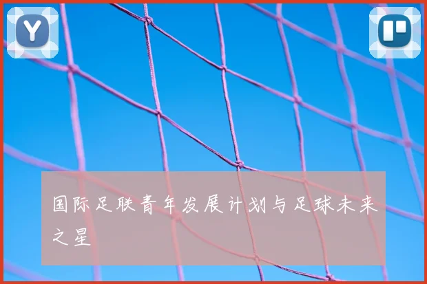 国际足联青年发展计划与足球未来之星