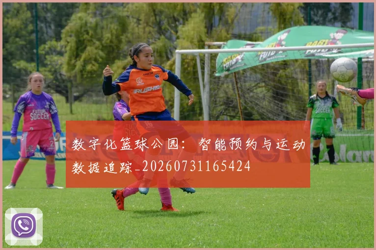 数字化篮球公园:智能预约与运动数据追踪_20260731165424