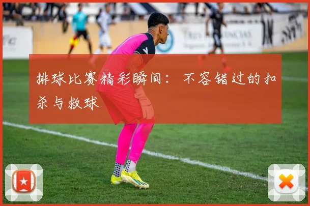 排球比赛精彩瞬间：不容错过的扣杀与救球