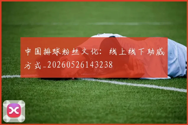 中国排球粉丝文化：线上线下助威方式_20260526143238